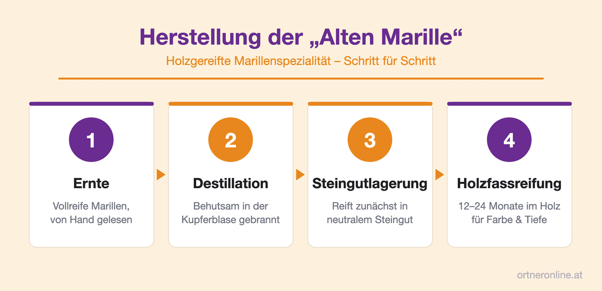 Herstellung der Alten Marille Schritt für Schritt: Ernte, Destillation, Steingutlagerung und Holzfassreifung