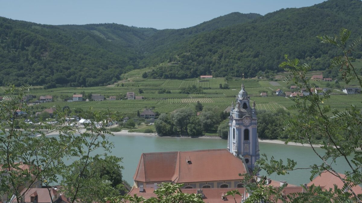 Beautiful landscape with Dürnstein Church, vineyards, and the Danube River in Lower Austria.
