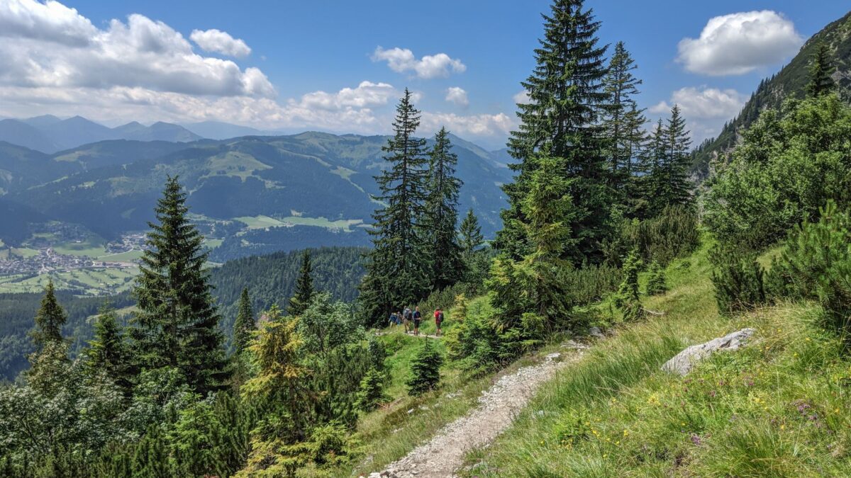 Explore Ellmau's breathtaking mountain trails with lush greenery and clear skies.