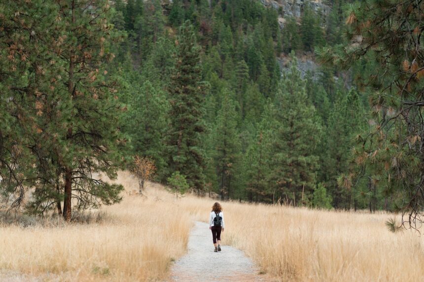 hiking 7890733 1280