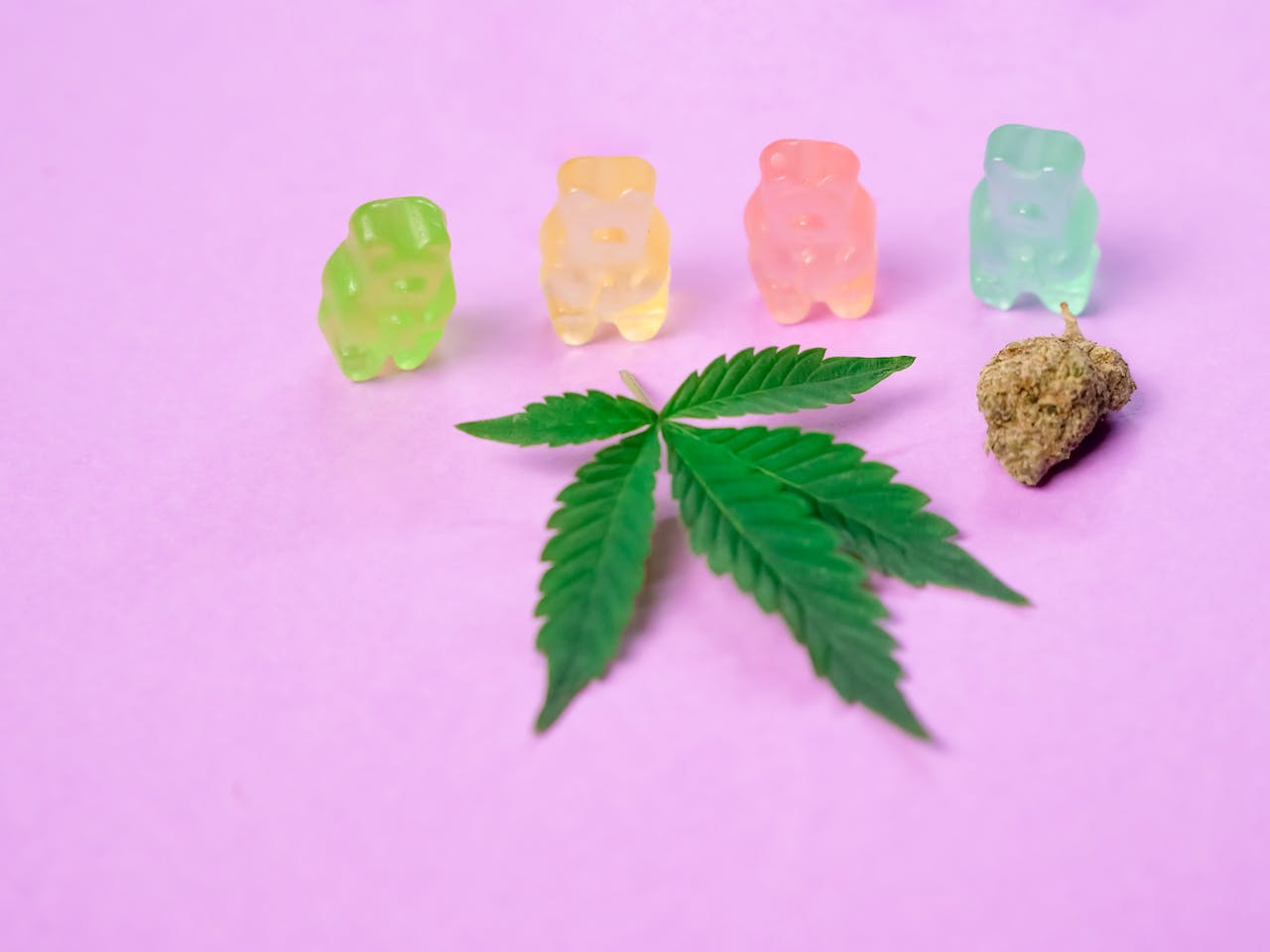 Entspannung Pur: CBD Fruchtgummis Entdecken