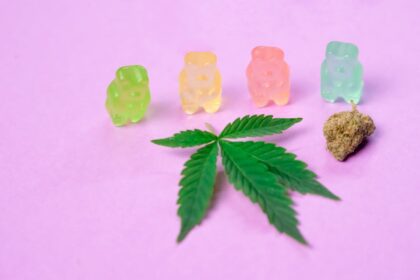 Wie man CBD-Blüten in die tägliche Wellness-Routine integriert 9 CBD-Blüten in die Wellness-Routine: Tipps & Tricks